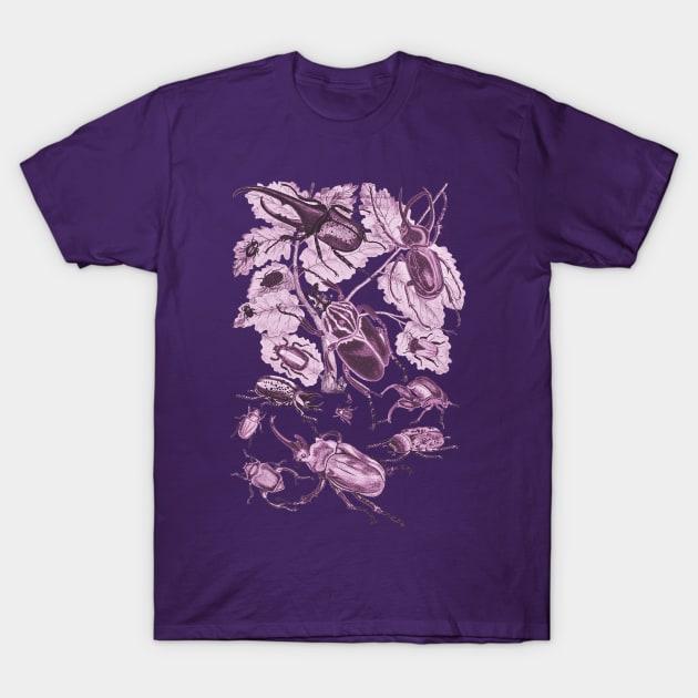 Coleoptera Beetles and Weevils J Mayson Fuchsia T-Shirt by Scientistudio